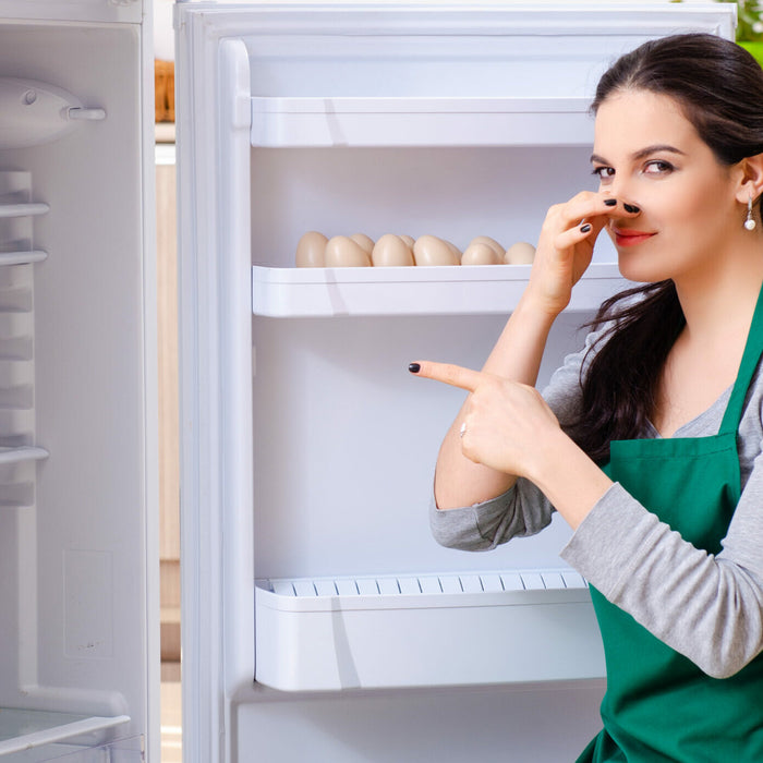 10 stappen om de koelkast goed te onderhouden