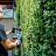 Metabo HS 18 LTX BL 65 – Accu Heggenschaar – 65 cm – 18V – Koolborstelloze motor – Lichtgewicht en krachtig