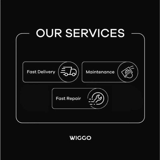Wiggo WO-E609R BX - Gasfornuis